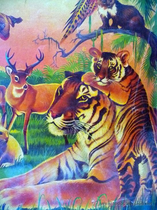 Collectable Incomplete Albums: ALBUM, MARAVILLAS DEL REINO ANIMAL, EDITORIAL ALCE, SOLO LLEVA 9 CROMOS
