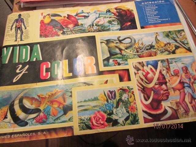Coleccionismo &aacute;lbumes: vida y color - Foto 2