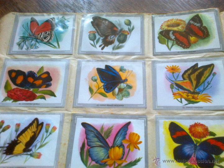 Coleccionismo &aacute;lbumes: VIDA Y COLOR - Foto 7