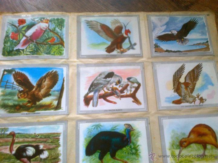 Coleccionismo &aacute;lbumes: VIDA Y COLOR - Foto 20
