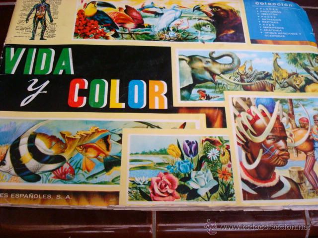Colecionismo Cadernetas: ALBUM DE CROMOS- VIDA Y COLOR-