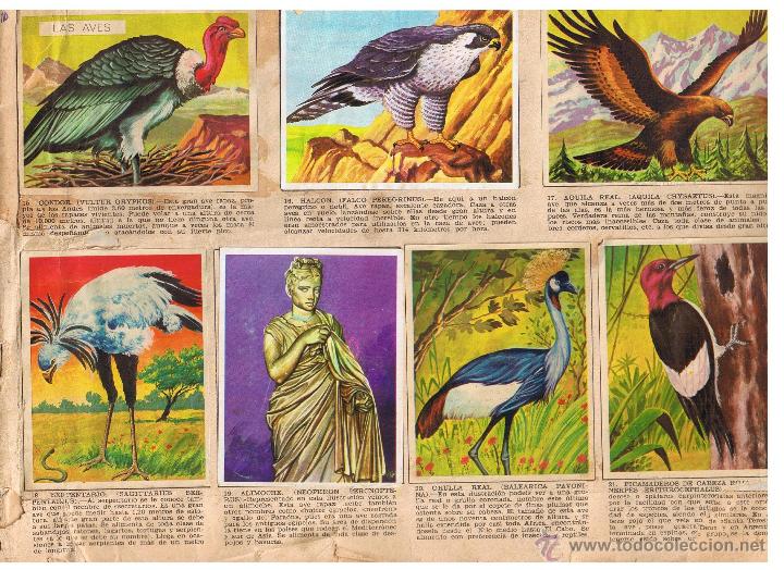 Collectionnisme Albums: ALBUM MAGA. LA NATURALEZA Y EL HOMBRE. FALTA LA PORTADA. IMCOMPLETO.(ST/PN3)