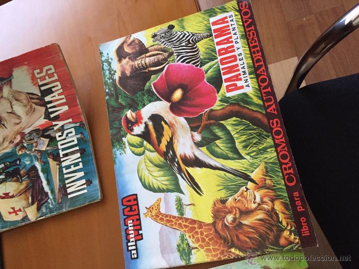 Coleccionismo &Aacute;lbumes: PANORAMAS DE ANIMALES Y PLANTAS UNOS 100 CROMOS BUEN ESTADO
