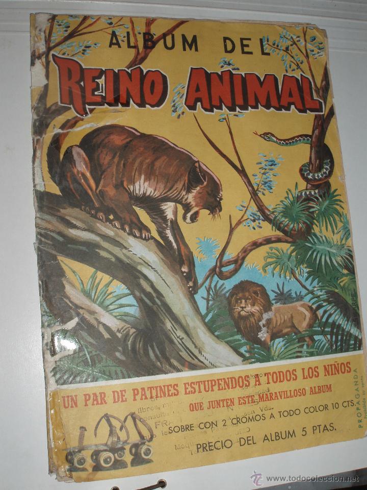 Collectionnisme Albums: ALBUM DEL REINO ANIMAL EDICIONES COSTA CASI COMPLETO
