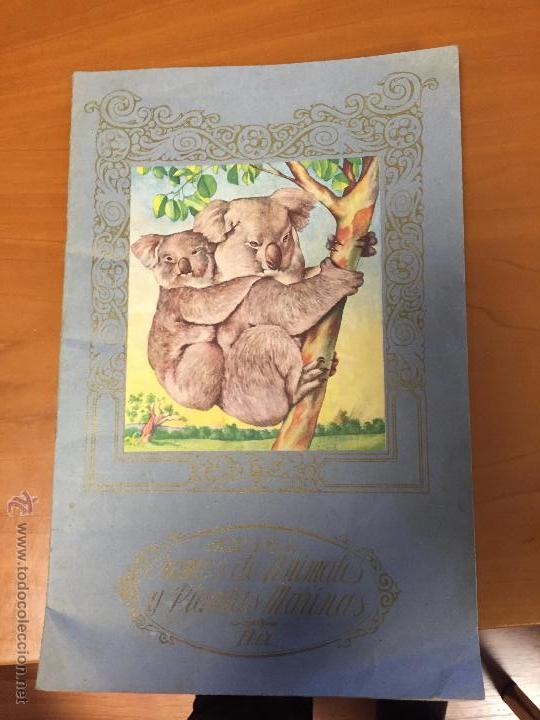 Collectable Incomplete Albums: anmales y plantas marinas 2&ordf; serie faltan 33 cromos se venden sueltos