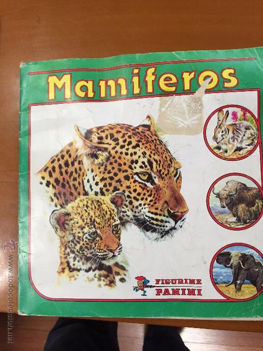 Collezionismo Album: MAMIFEROS PANINI ALBUM CON 62 CROMOS SE VENDEN SUELTOS