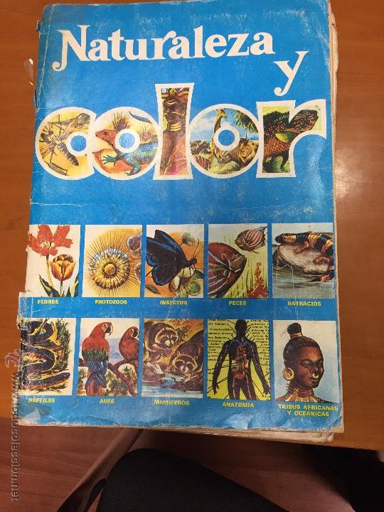 Collezionismo Album: NATURALEZA Y COLOR ALBUM COMPLETO MENOS EL CROMO 331 SE VENDEN SUELTOS