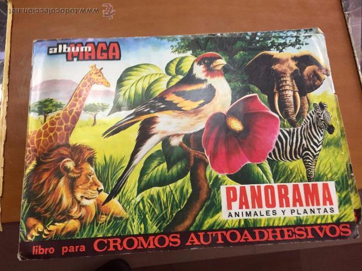 Collectable Incomplete Albums: panorama animaes y plantas album con 267 cromos se venden sueltos tengo nuevos tambien