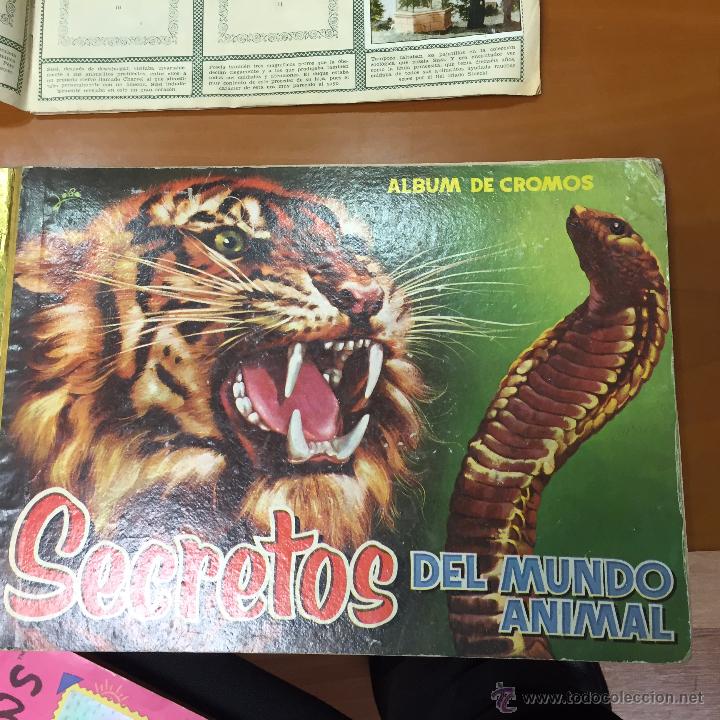 Collectable Incomplete Albums: secretos del mundo animal tapa dura con 296 cromos se venden sueltos