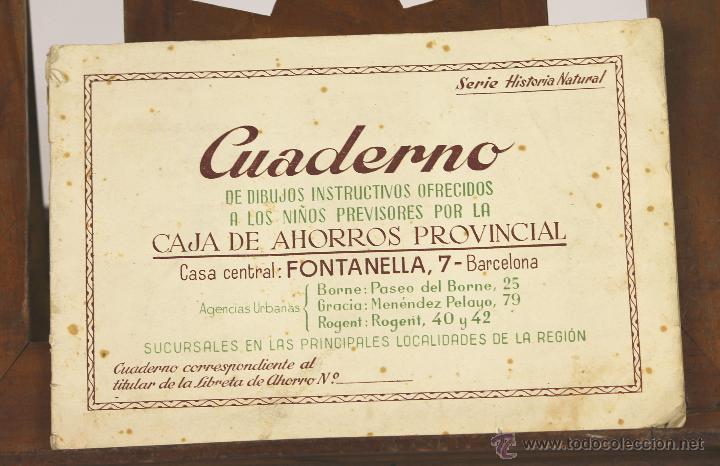 Sammeln Sammelalben: 7105 - CUADERNO DE DIBUJOS INSTRUCTIVO. VV. AA(VER DESCRIP). EDI. C. A. PROVINCIAL. S/F.