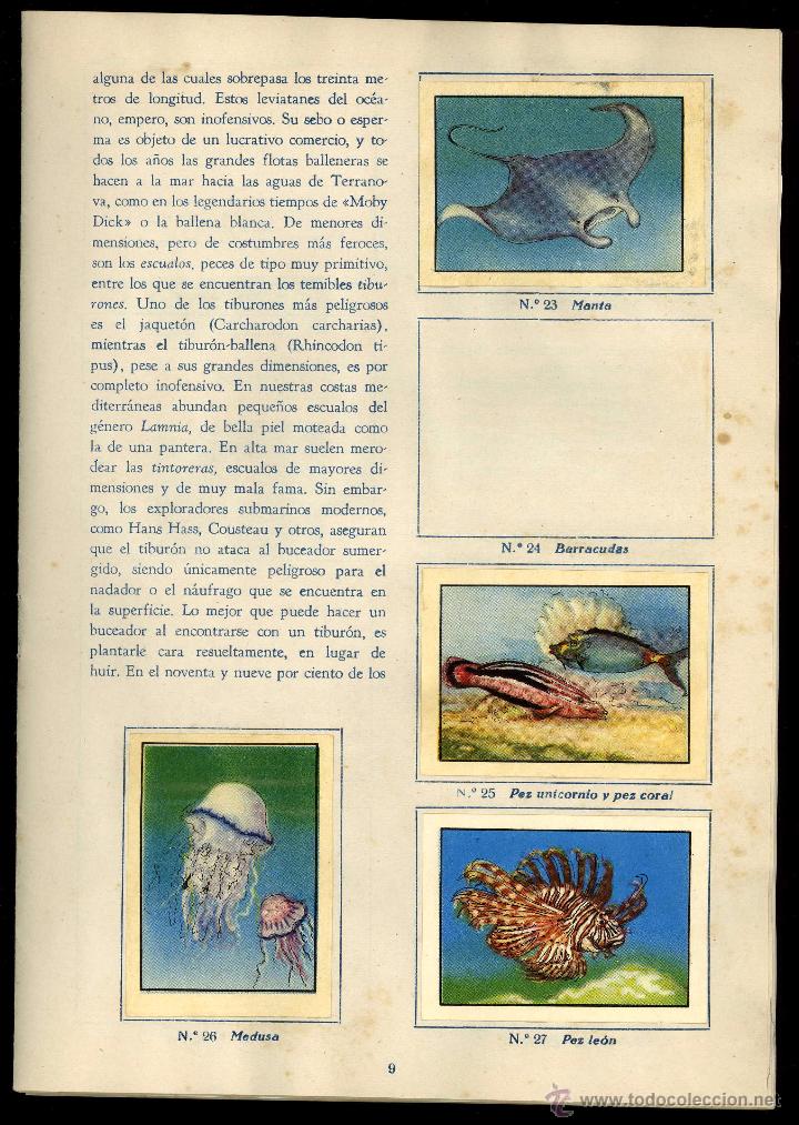 Coleccionismo &aacute;lbumes: El Mar. Chocolates Soler 1956 - Foto 3
