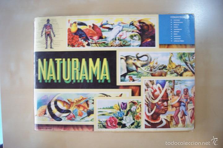 Collectionnisme Albums: ALBUM DE CROMOS NATURAMA CASI COMPLETO