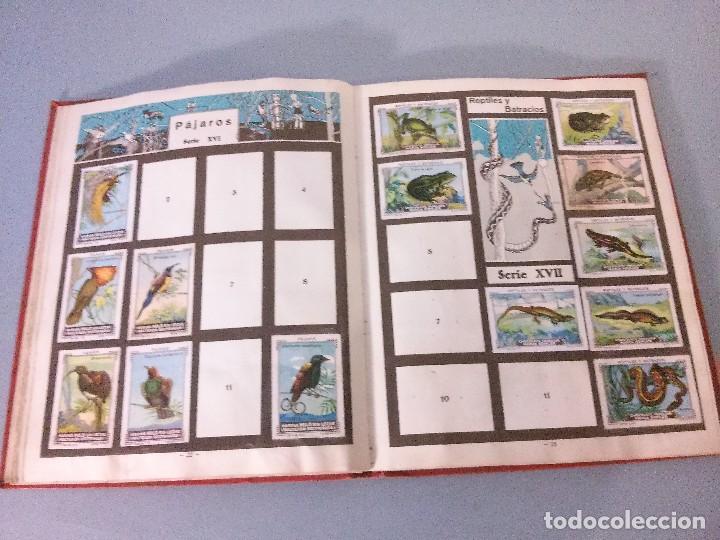Coleccionismo &aacute;lbumes: album nestle 1 - Foto 11