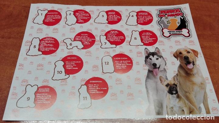 Collectionnisme Albums: ALBUM VACIO DE PERROS DEL MUNDO ( TOSFRIT ) EN PERFECTO ESTADO