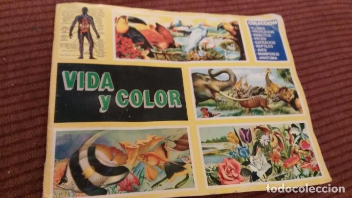 Coleccionismo &aacute;lbumes: VIDA Y COLOR - con 77 cromos - Foto 1