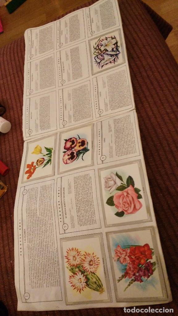 Coleccionismo &aacute;lbumes: VIDA Y COLOR - con 77 cromos - Foto 2