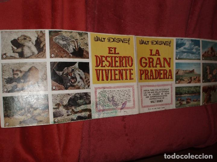 Collectable Incomplete Albums: ALBUM LA GRAN PRADERA Y EL DESIERTO VIVIENTE,DISNEY VACIO,ROTO INTERIOR,