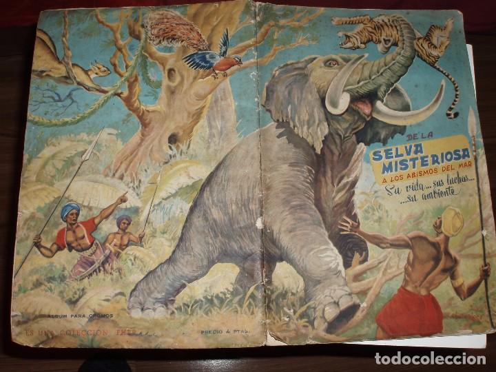 Collectable Incomplete Albums: ALBUM VACIO DE LA SELVA MISTERIOSA A LOS ABISMOS DEL MAR.MAL ESTADO,ROTO,FHER