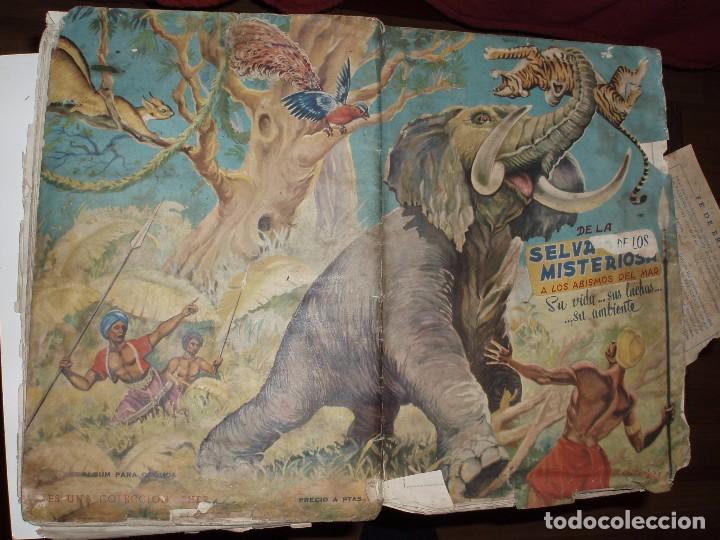 Collectable Incomplete Albums: ALBUM VACIO DE LA SELVA MISTERIOSA A LOS ABISMOS DEL MAR.MAL ESTADO,ROTO,FHER