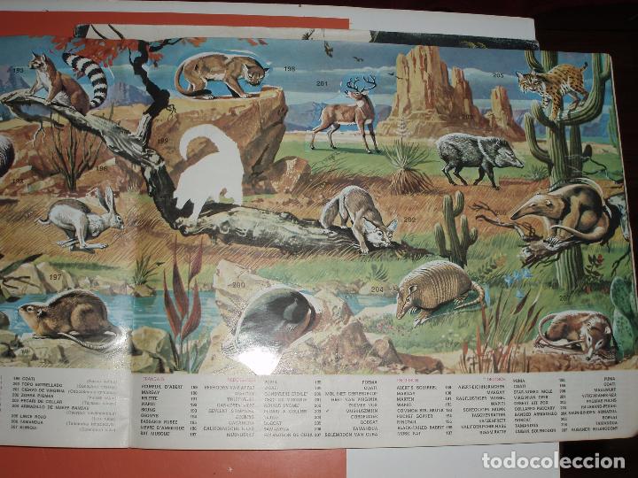 Coleccionismo &aacute;lbumes: ALBUM LA ZOOLOGIA EN CASA - Foto 2