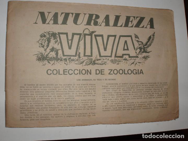 Collectable Incomplete Albums: ALBUM NATURALEZA VIVA CASI COMPLETO,SIN TAPAS,ESTE
