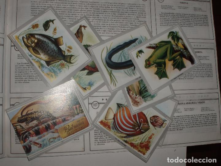 Coleccionismo &aacute;lbumes: ALBUM VIDA Y COLOR - Foto 2