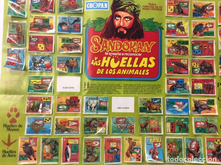 Coleccionismo &Aacute;lbumes: &Aacute;LBUM P&Oacute;STER SANDOKAN TE ENSE&Ntilde;A A RECONOCER LAS HUELLAS DE LOS ANIMALES
