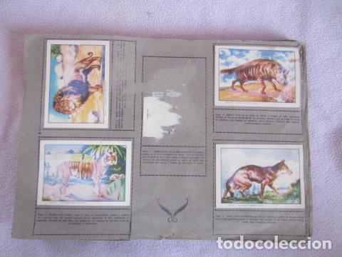 Coleccionismo &aacute;lbumes: HISTORIA NATURAL - Foto 1