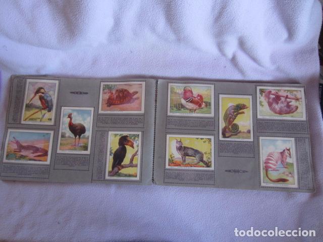 Coleccionismo &aacute;lbumes: HISTORIA NATURAL - Foto 3