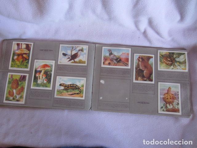 Coleccionismo &aacute;lbumes: HISTORIA NATURAL - Foto 4