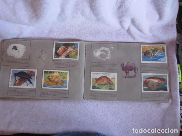 Coleccionismo &aacute;lbumes: HISTORIA NATURAL - Foto 5