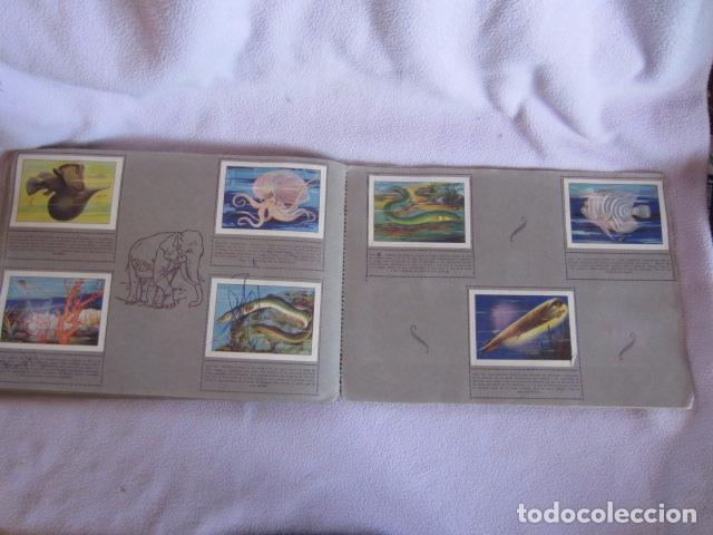 Coleccionismo &aacute;lbumes: HISTORIA NATURAL - Foto 6
