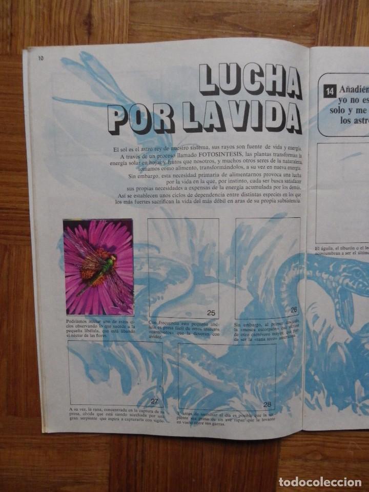 Coleccionismo &aacute;lbumes: EL LIBRO DE LAS ADIVINANZAS BIMBO - Foto 12