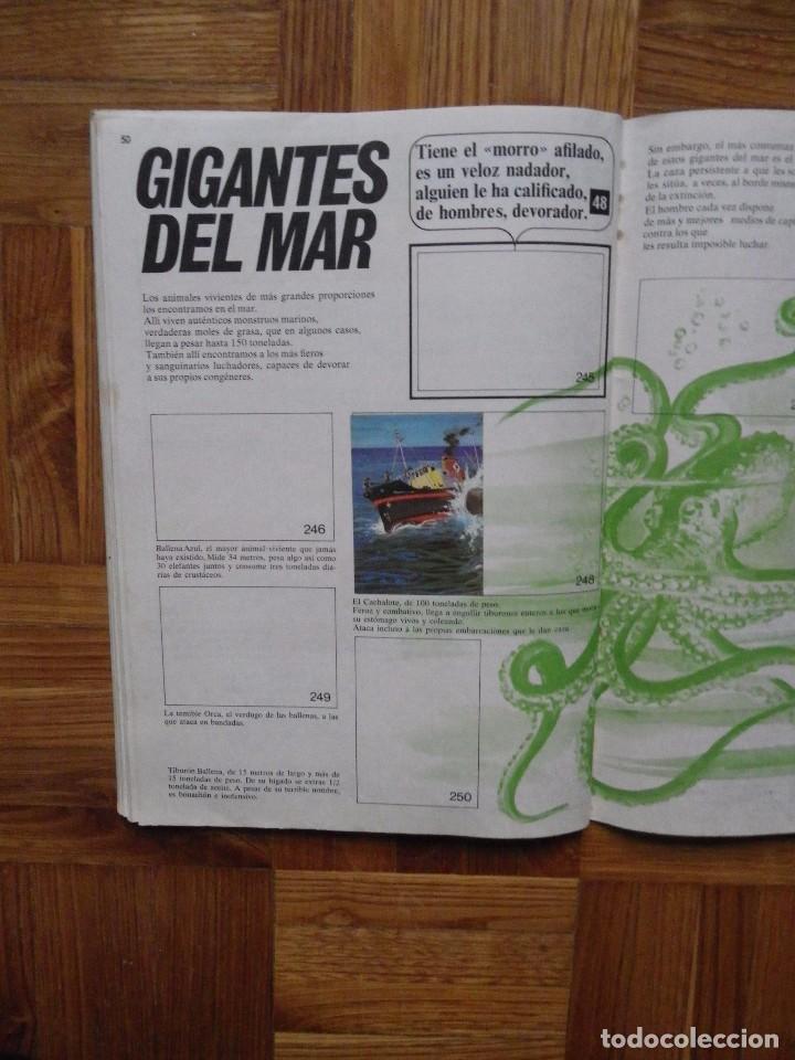 Coleccionismo &aacute;lbumes: EL LIBRO DE LAS ADIVINANZAS BIMBO - Foto 50