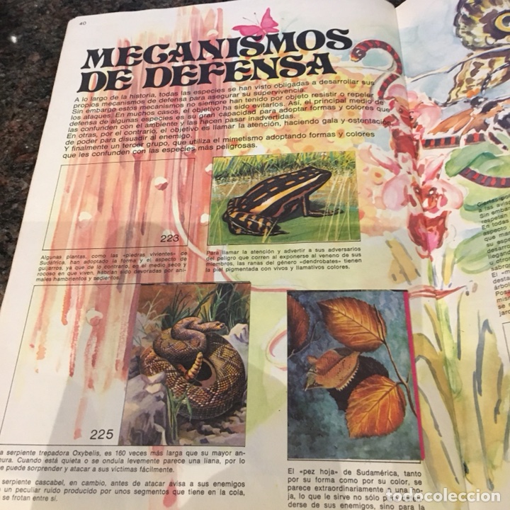 Coleccionismo &aacute;lbumes: EL LIBRO DE LAS ADIVINANZAS 2 - Foto 4