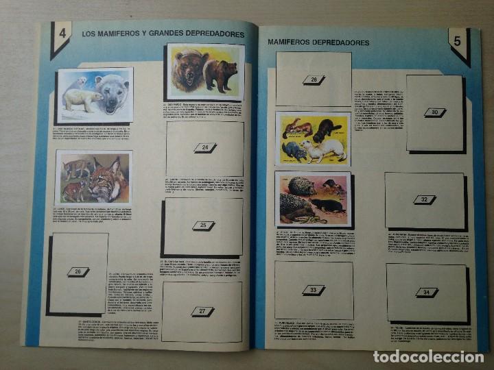 Coleccionismo &aacute;lbumes: Europa y mercado com&uacute;n Flash - Foto 3