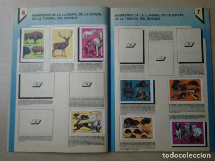 Coleccionismo &aacute;lbumes: Europa y mercado com&uacute;n Flash - Foto 4