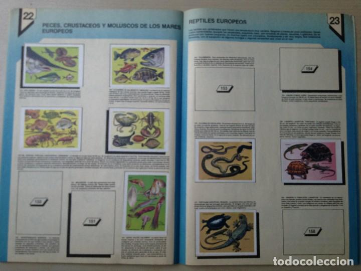 Coleccionismo &aacute;lbumes: Europa y mercado com&uacute;n Flash - Foto 5