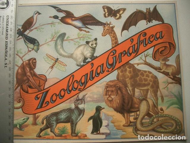 Collezionismo Album: &Aacute;lbum Zoolog&iacute;a Gr&aacute;fica de productos de Meivel