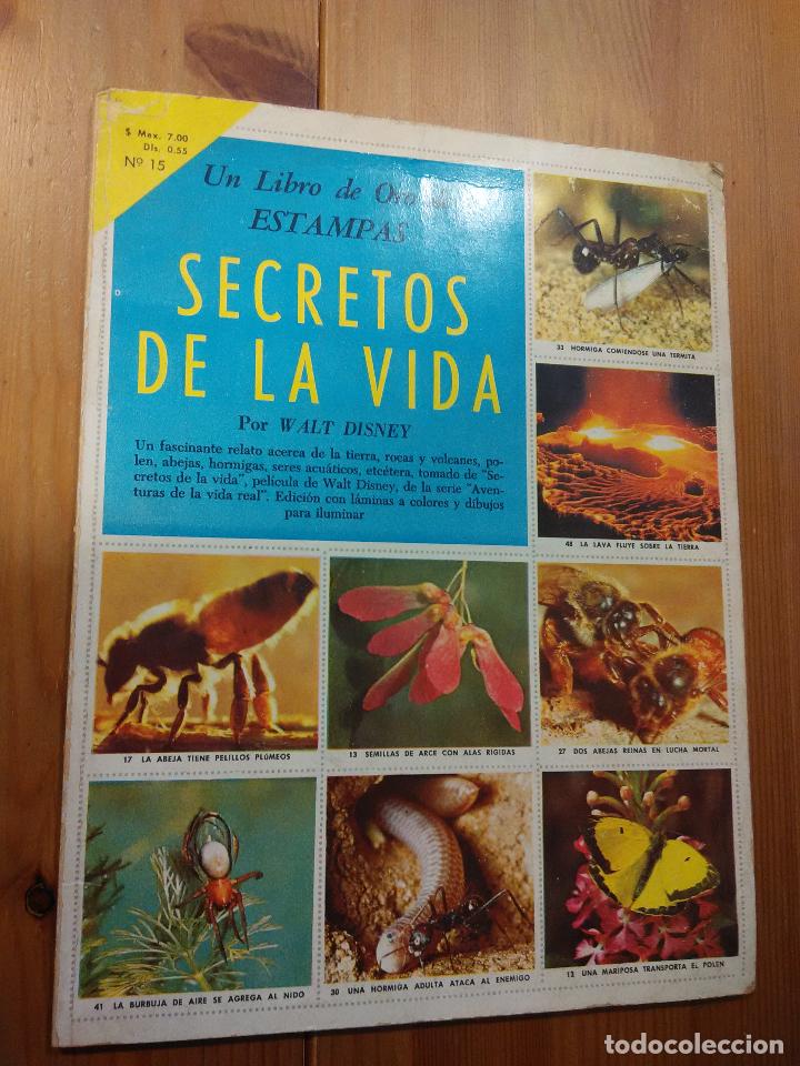 Collectionnisme Albums: LIBRO DE ORO DE ESTAMPAS - SECRETOS DE LA VIDA - WALT DISNEY - N&ordm; 15 - NOVARO