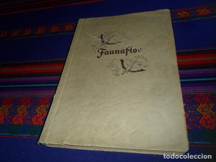 Collectionnisme Albums: FAUNAFLOR AU ROYAUME DES ANIMAUX ET DES PLANTES INCOMPLETO FALTAN 8 DE 164 CROMOS. COTE D'OR 1954.