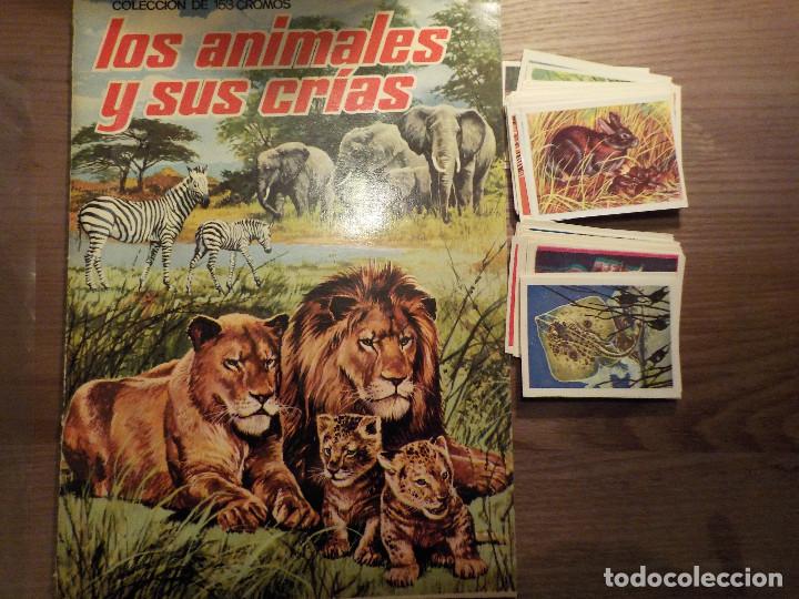 Collectable Incomplete Albums: LOS ANIMALES Y SUS CRIAS , ALBUM  VACIO + 90 CROMOS DISTINTOS SIN PEGAR