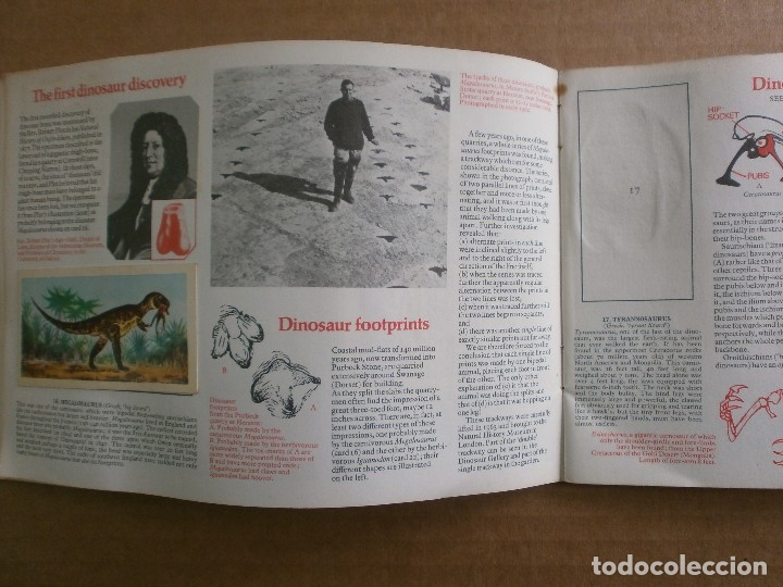 Coleccionismo &aacute;lbumes: PREHISTORIC ANIMALS. INCOMPLETO - Foto 3