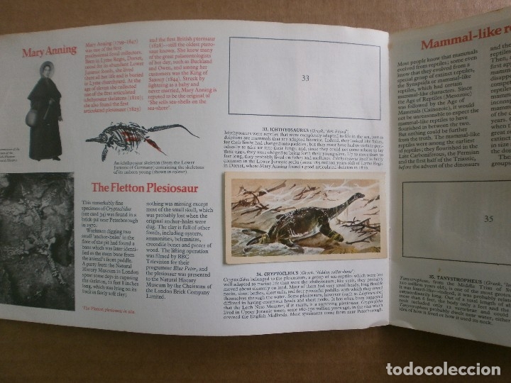 Coleccionismo &aacute;lbumes: PREHISTORIC ANIMALS. INCOMPLETO - Foto 5
