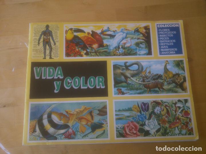 Coleccionismo &aacute;lbumes: VIDA Y COLOR - Foto 1