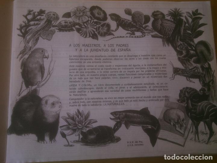 Coleccionismo &aacute;lbumes: VIDA Y COLOR - Foto 2