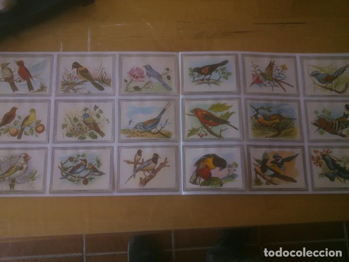Coleccionismo &aacute;lbumes: VIDA Y COLOR - Foto 3
