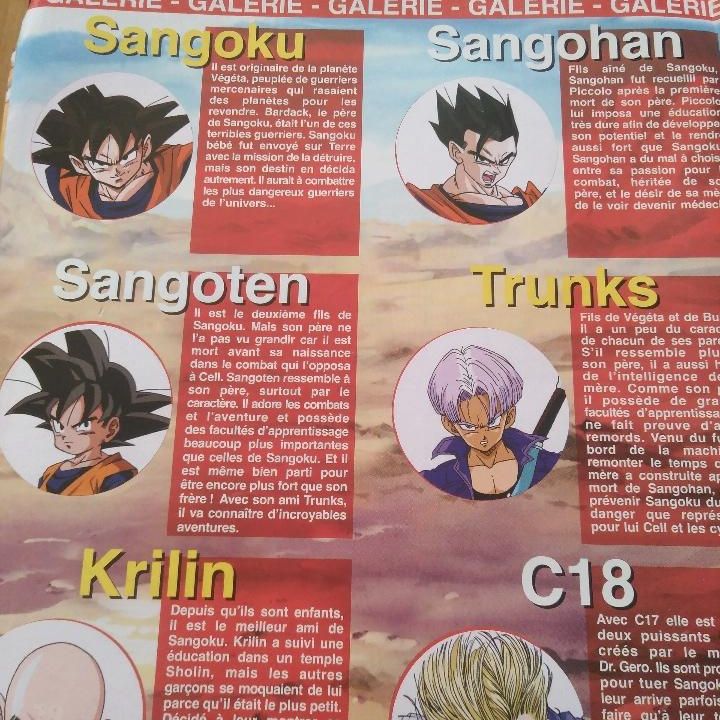Album Dragon Ball Z Frances Sold Through Direct Sale Album Dragon Ball Z Frances Sold Through Direct Sale