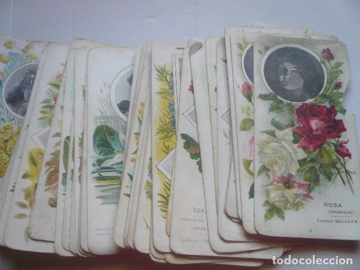 Coleccionismo &aacute;lbumes: Cromos Chocolate Jaime Boix - Foto 3