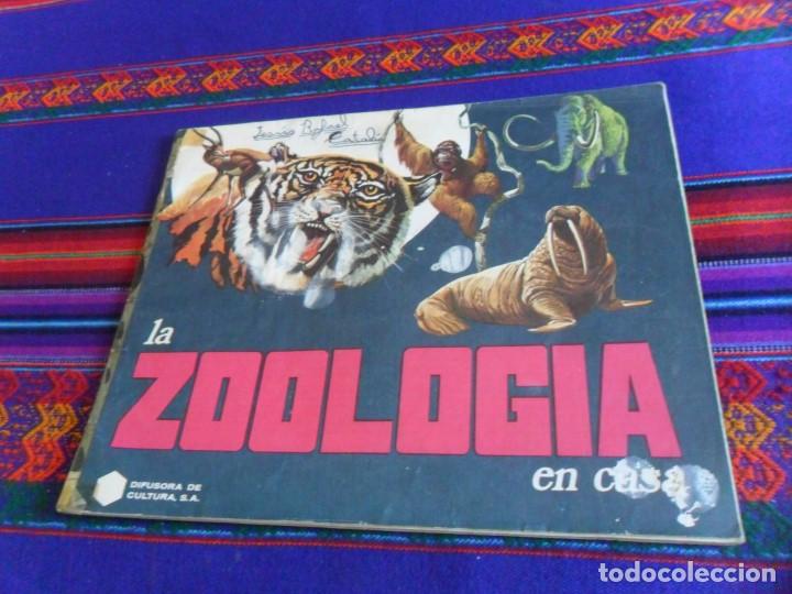Collezionismo Album: LA ZOOLOG&Iacute;A EN CASA INCOMPLETO CON 129 DE 283 CROMOS. REGALO ANIMALES DE LA SELVA INCOMPLETO.